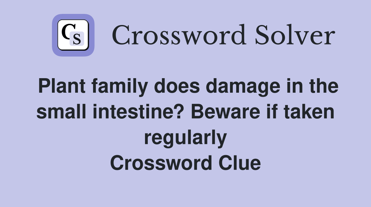 Plant family does damage in the small intestine? Beware if taken regularly Crossword Clue