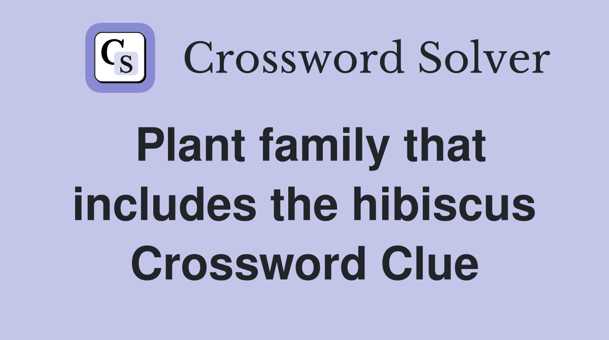 Plant family that includes the hibiscus Crossword Clue