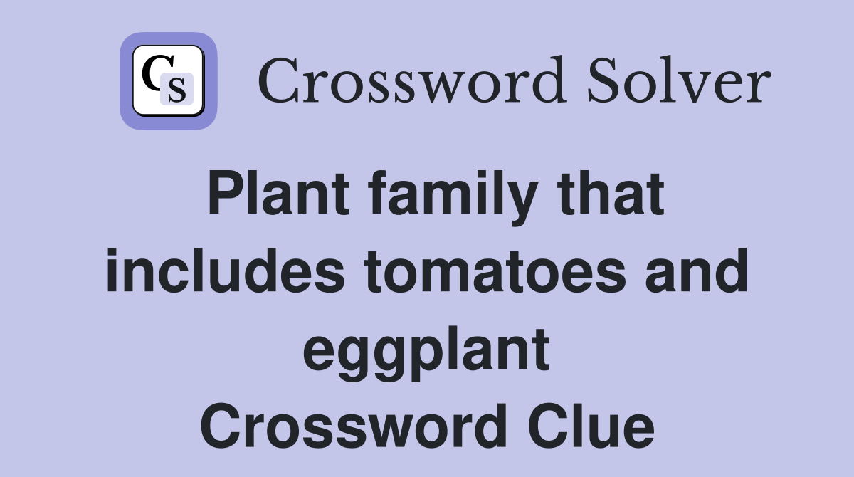 Plant family that includes tomatoes and eggplant Crossword Clue