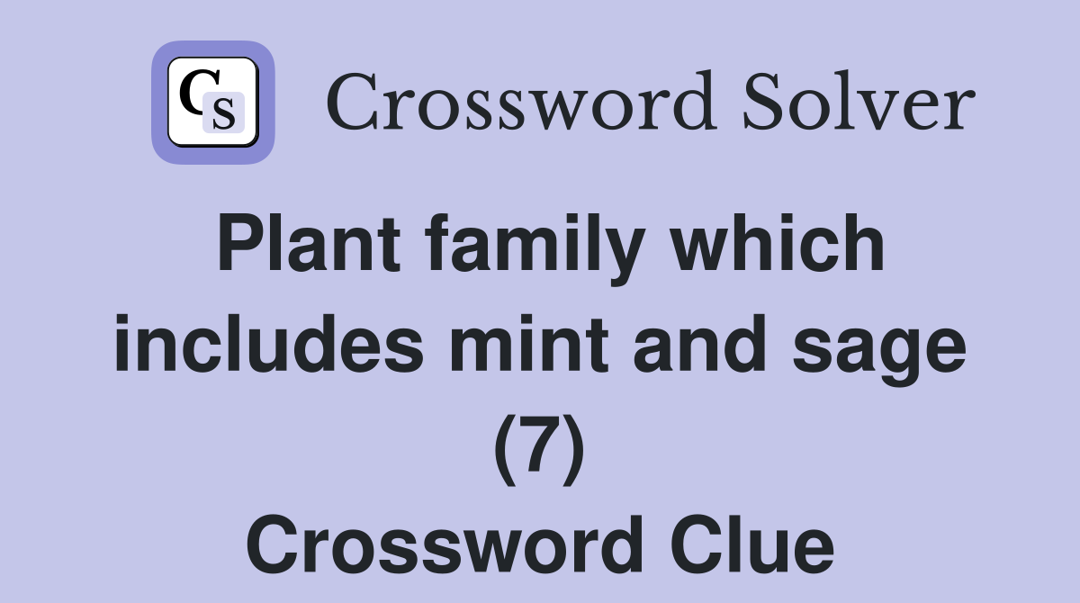 Plant family which includes mint and sage (7) Crossword Clue