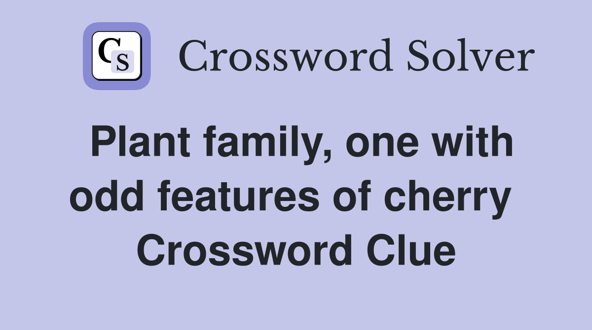 Plant family, one with odd features of cherry  Crossword Clue