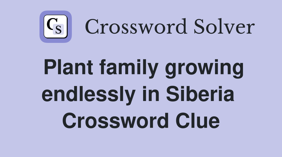 Plant family growing endlessly in Siberia  Crossword Clue