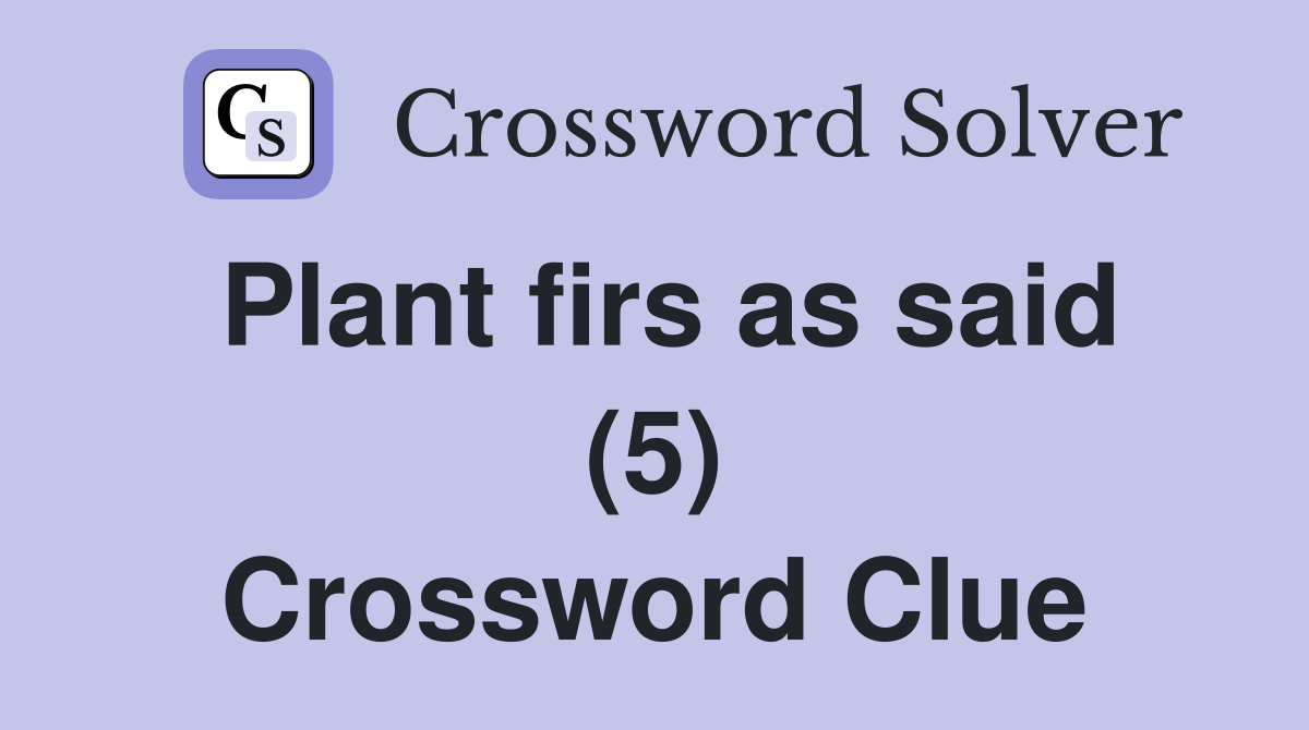 Plant firs as said (5) Crossword Clue