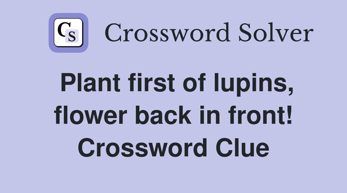 Plant first of lupins, flower back in front! Crossword Clue