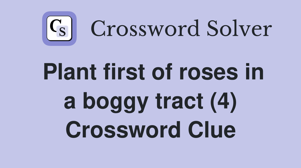 Plant first of roses in a boggy tract (4) Crossword Clue