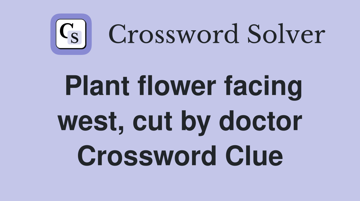 Plant flower facing west, cut by doctor Crossword Clue