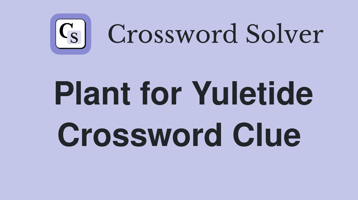 Plant for Yuletide Crossword Clue
