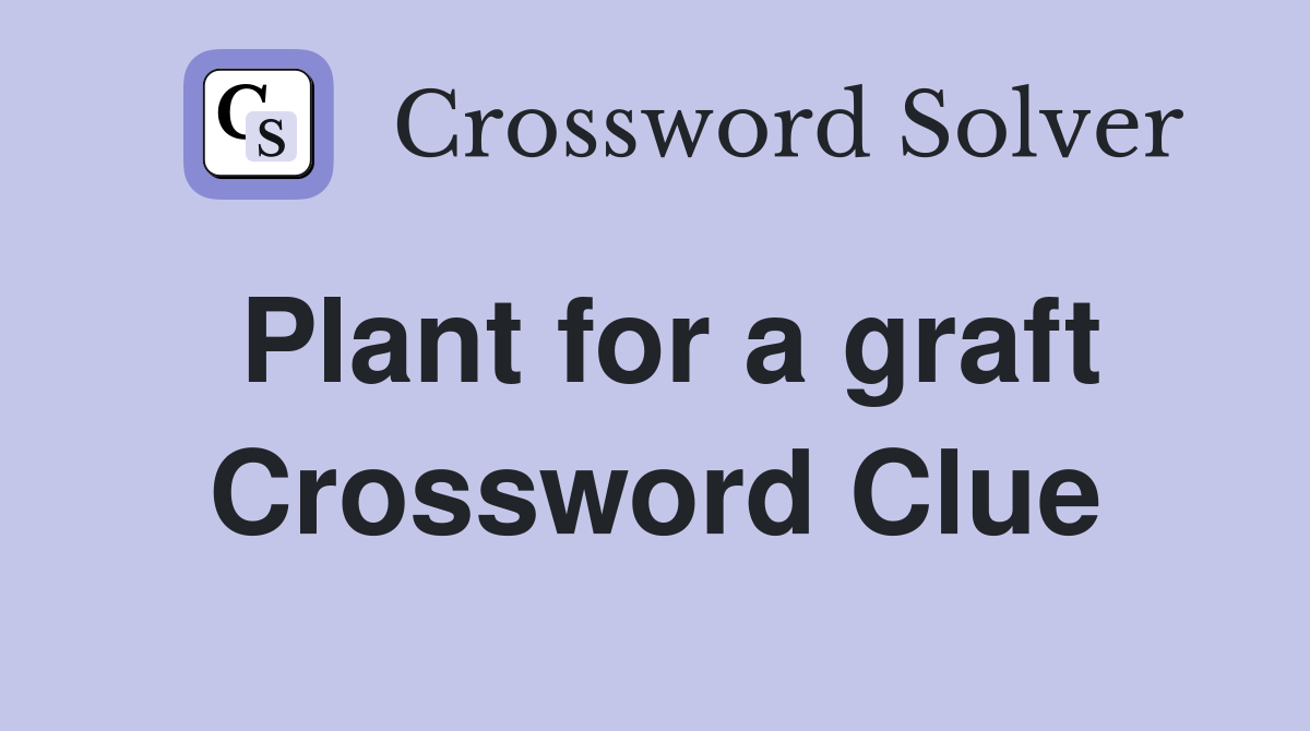 Plant for a graft Crossword Clue