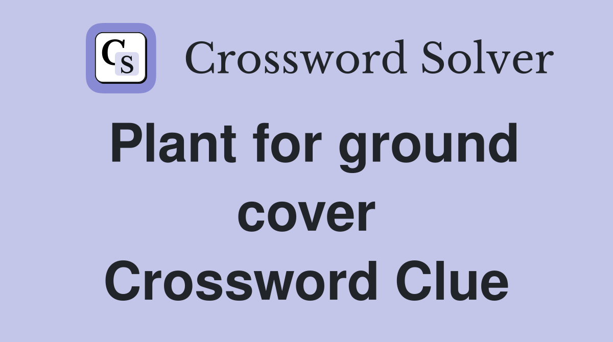 Plant for ground cover Crossword Clue
