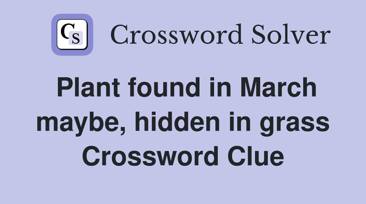 Plant found in March maybe, hidden in grass Crossword Clue