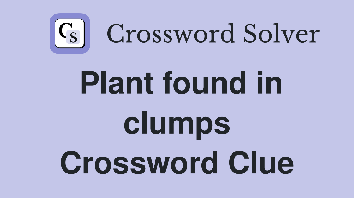 Plant found in clumps Crossword Clue