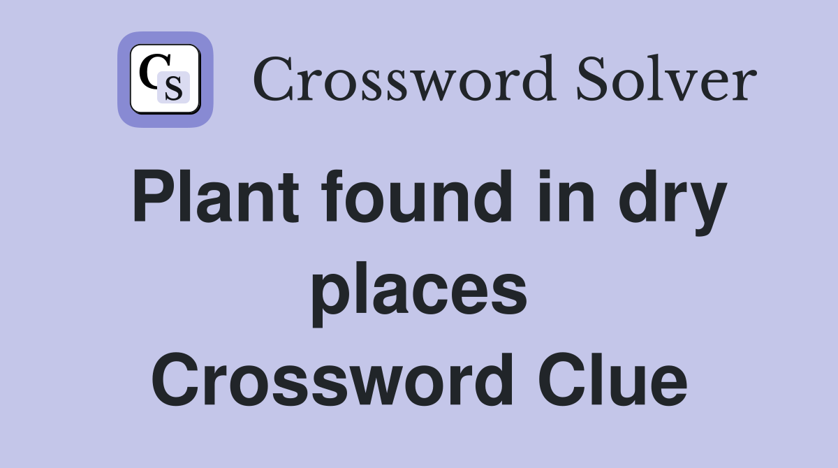 Plant found in dry places Crossword Clue
