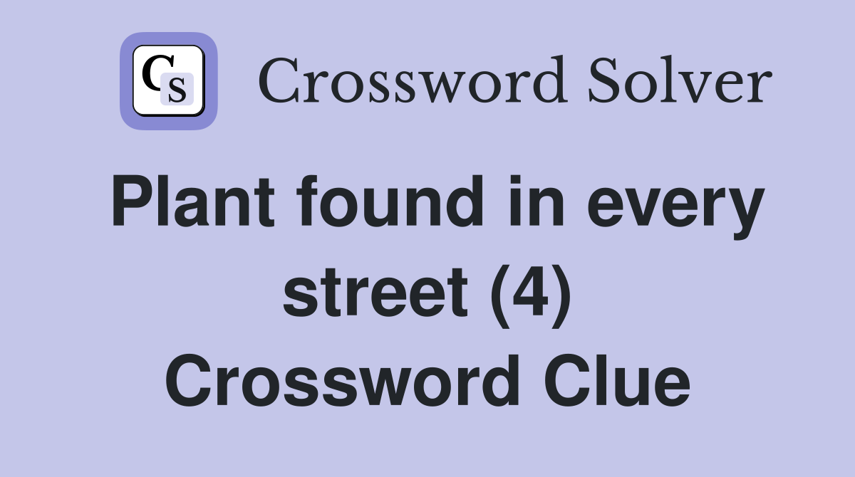 Plant found in every street (4) Crossword Clue