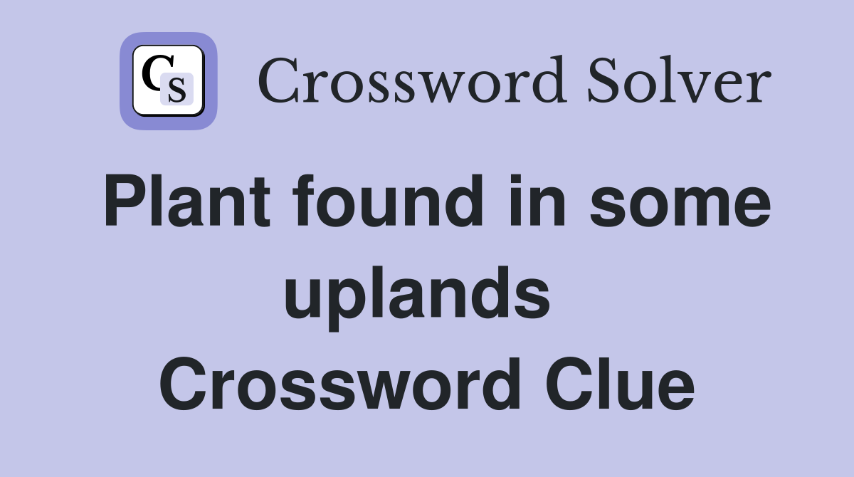 Plant found in some uplands  Crossword Clue