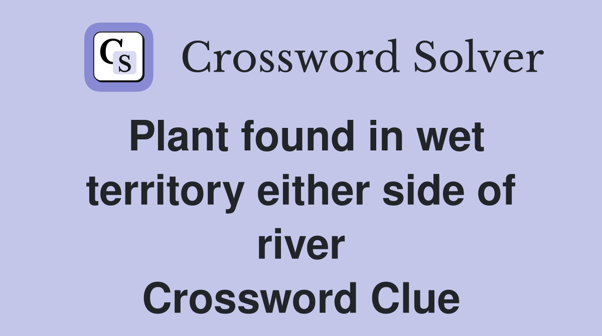 Plant found in wet territory either side of river Crossword Clue