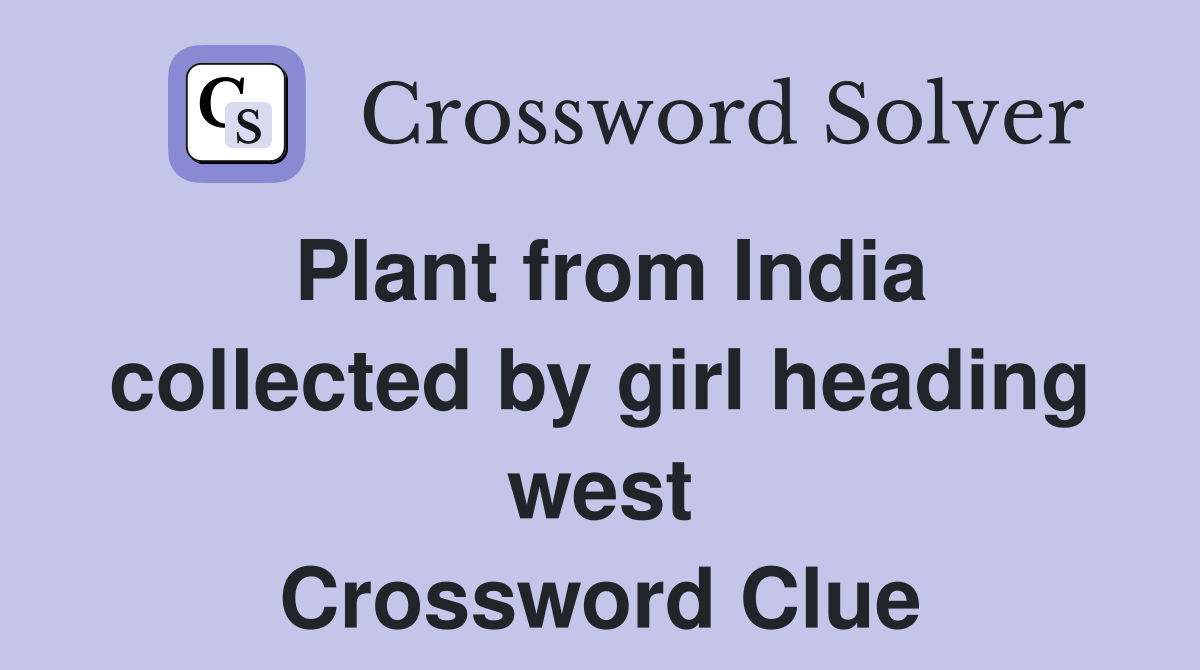 Plant from India collected by girl heading west Crossword Clue