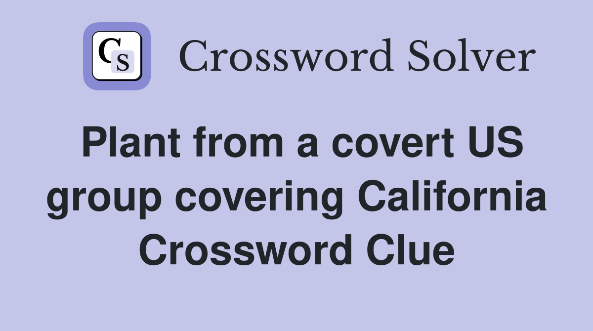 Plant from a covert US group covering California Crossword Clue