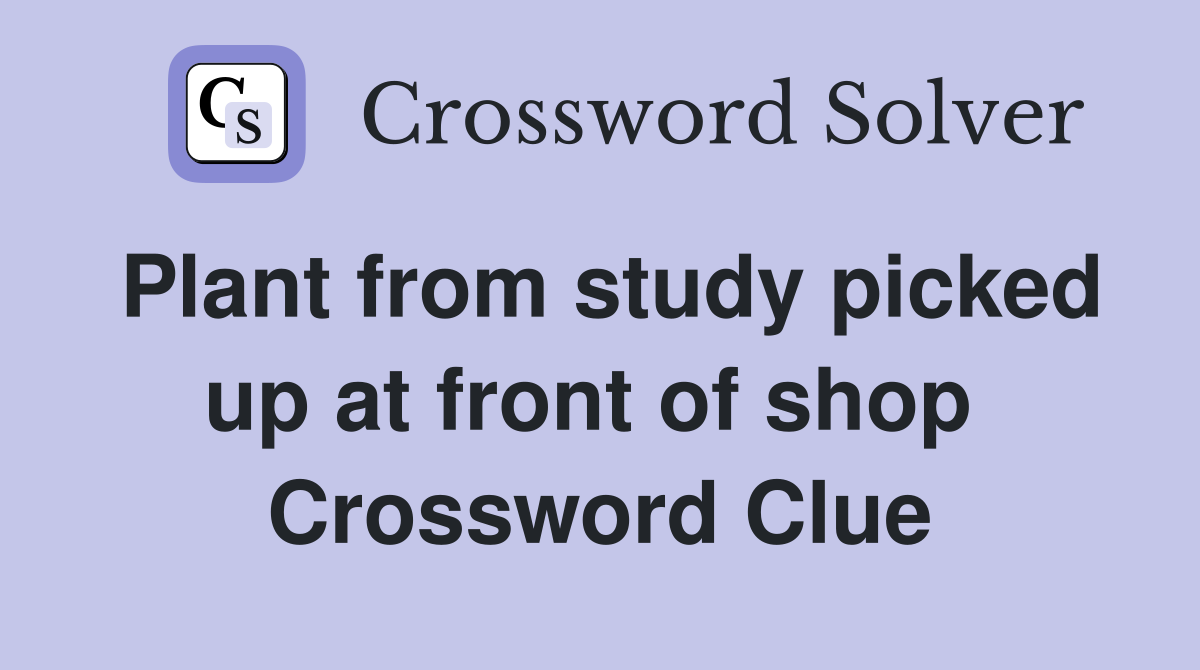 Plant from study picked up at front of shop  Crossword Clue