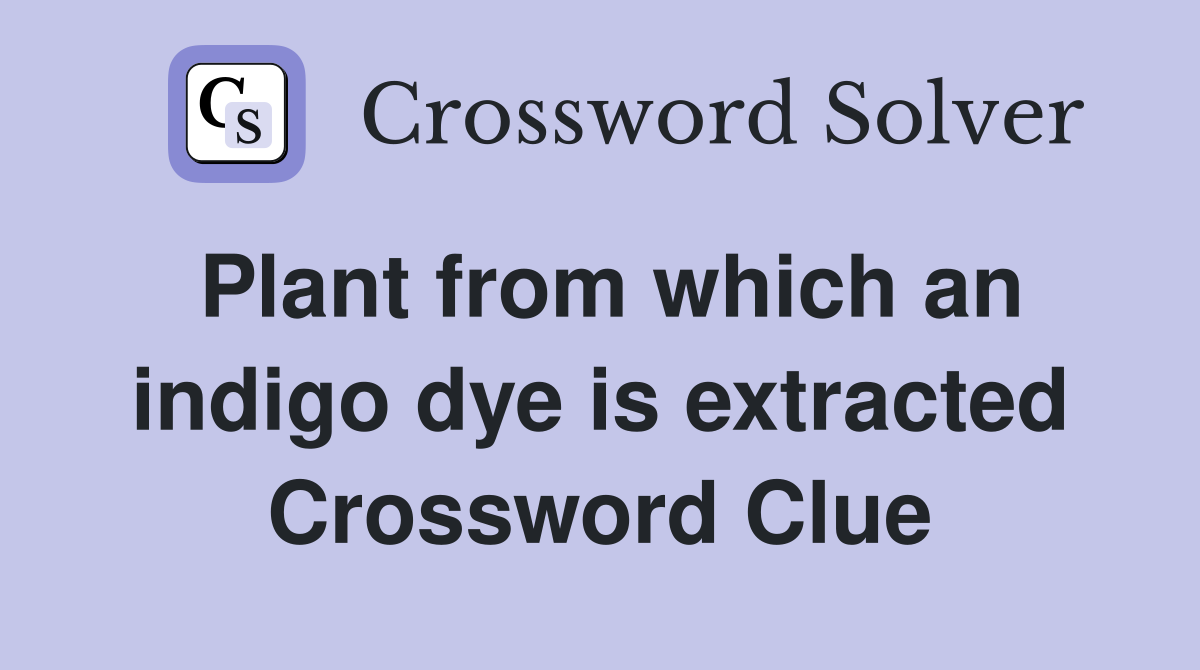 Plant from which an indigo dye is extracted Crossword Clue