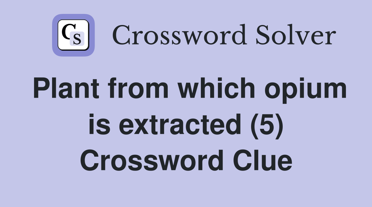 Plant from which opium is extracted (5) Crossword Clue