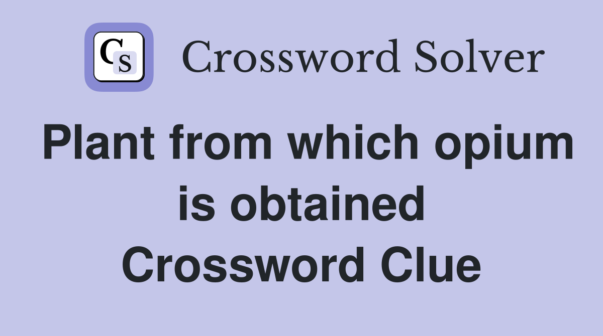Plant from which opium is obtained Crossword Clue