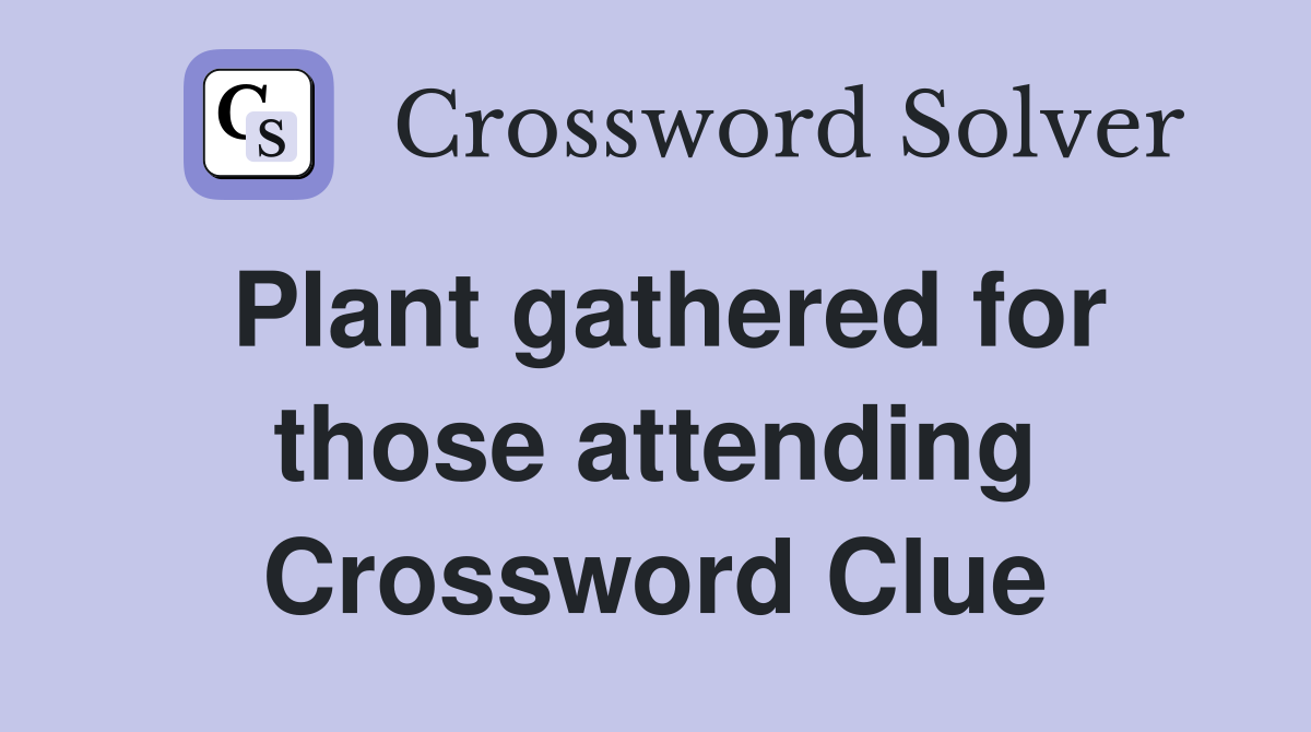 Plant gathered for those attending Crossword Clue