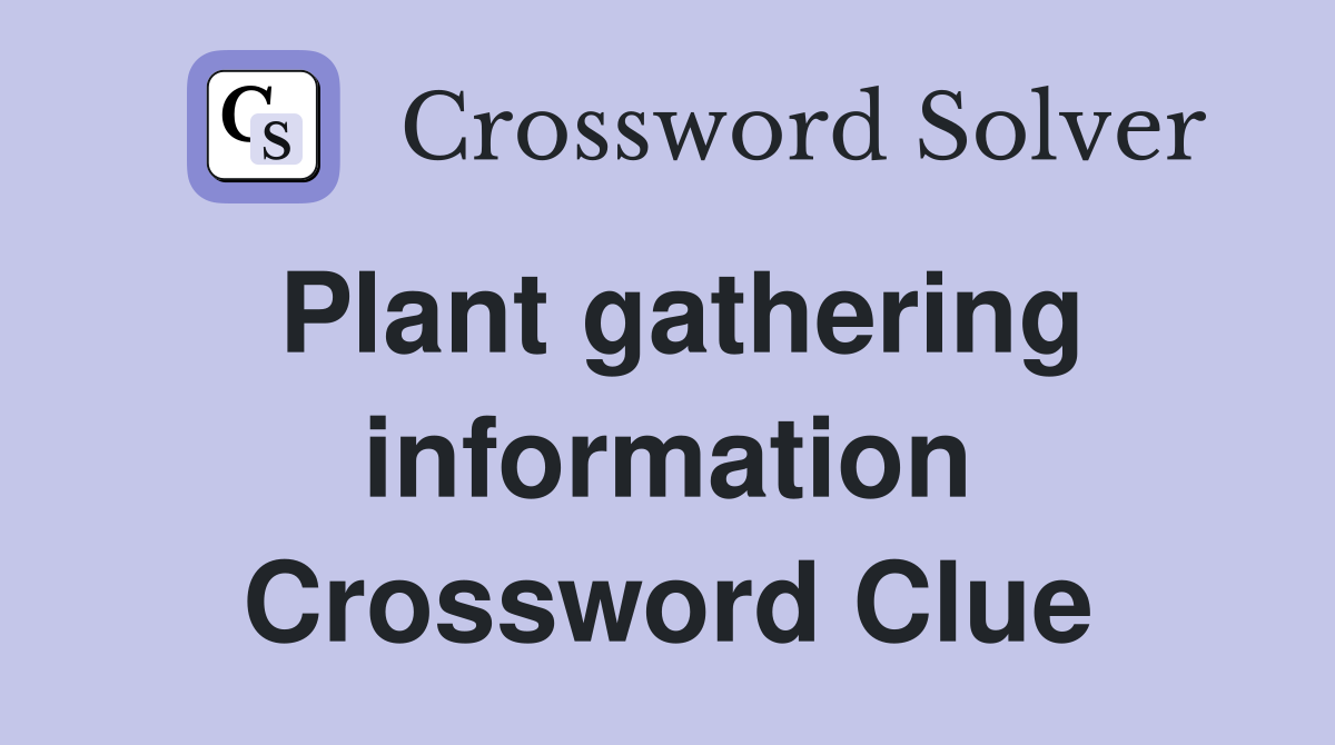 Plant gathering information Crossword Clue