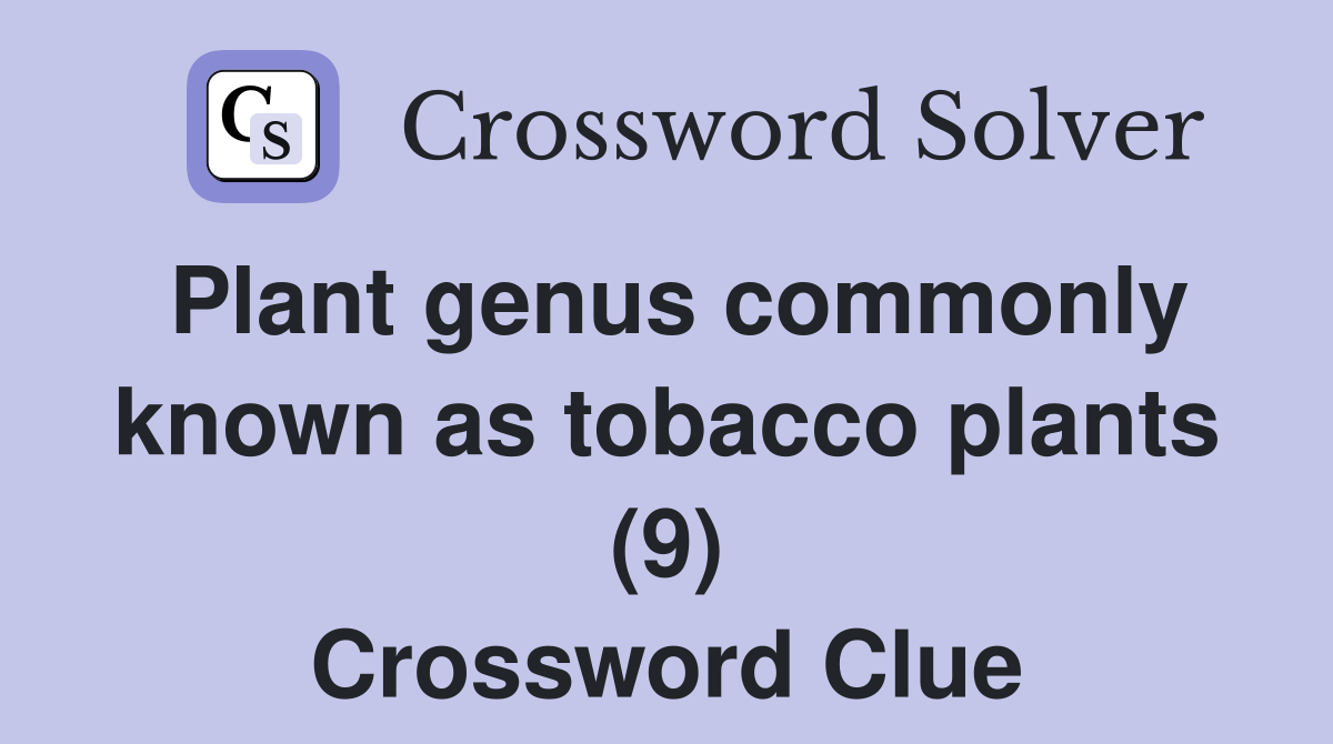 Plant genus commonly known as tobacco plants (9) Crossword Clue