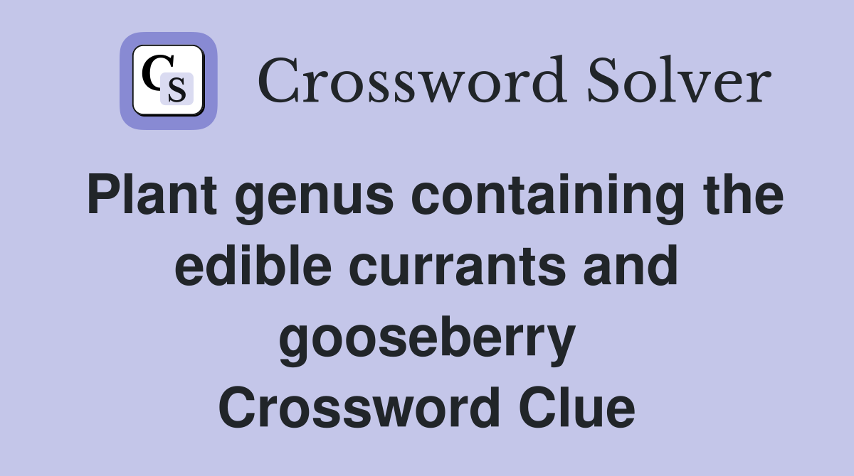Plant genus containing the edible currants and gooseberry Crossword Clue