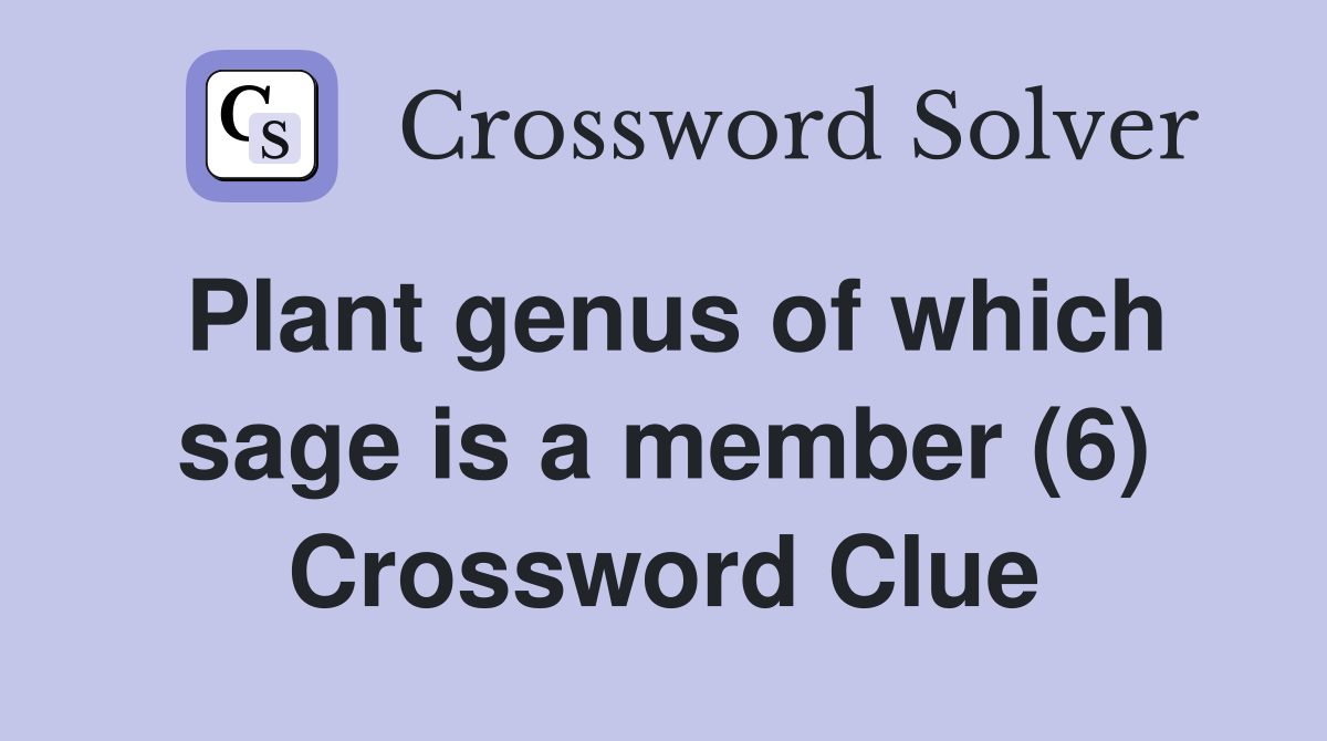 Plant genus of which sage is a member (6) Crossword Clue