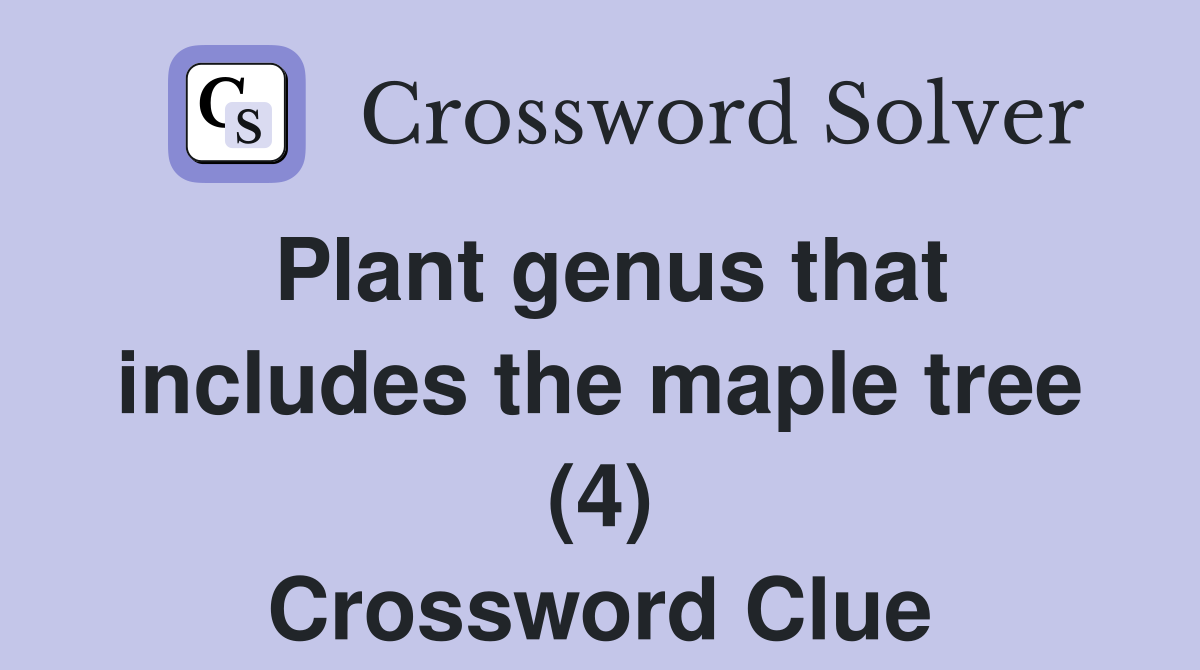 Plant genus that includes the maple tree (4) Crossword Clue