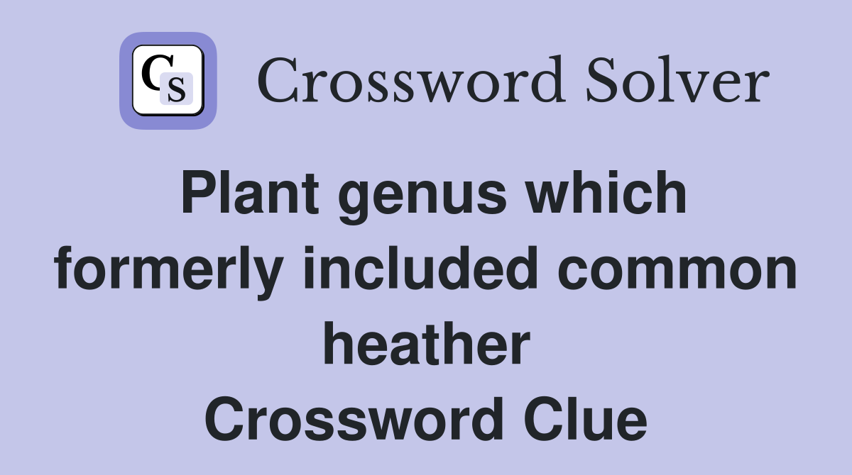 Plant genus which formerly included common heather Crossword Clue
