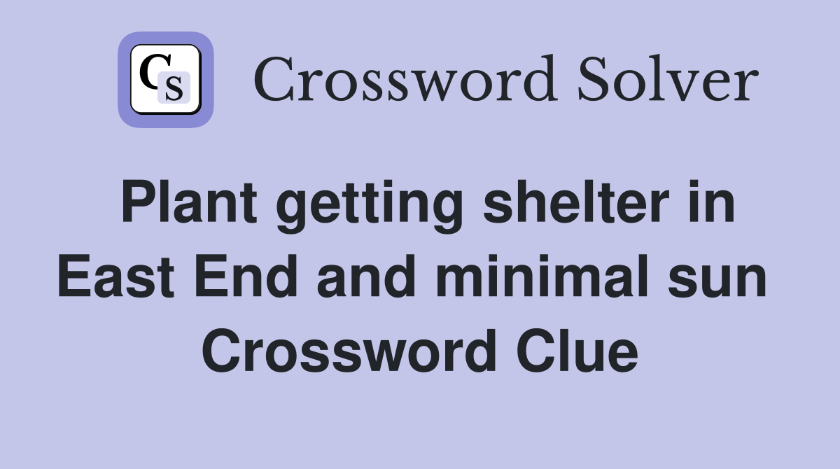Plant getting shelter in East End and minimal sun  Crossword Clue