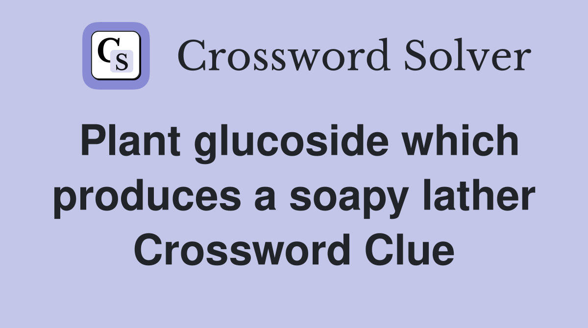 Plant glucoside which produces a soapy lather Crossword Clue