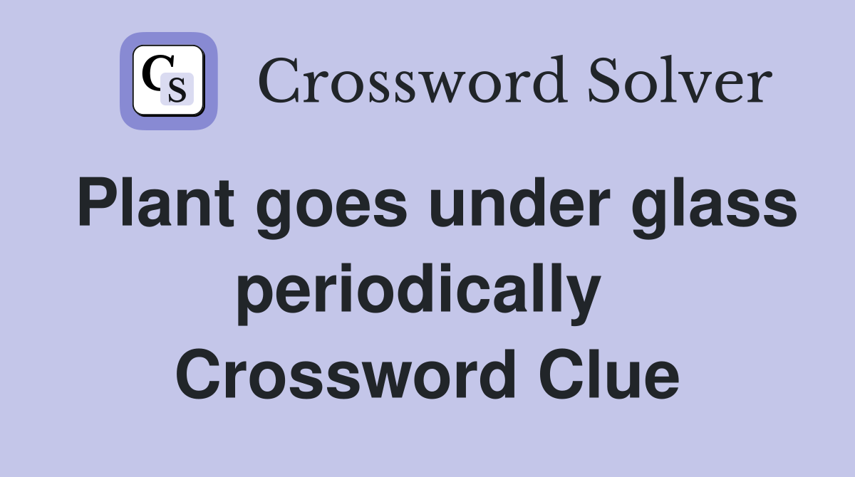 Plant goes under glass periodically  Crossword Clue