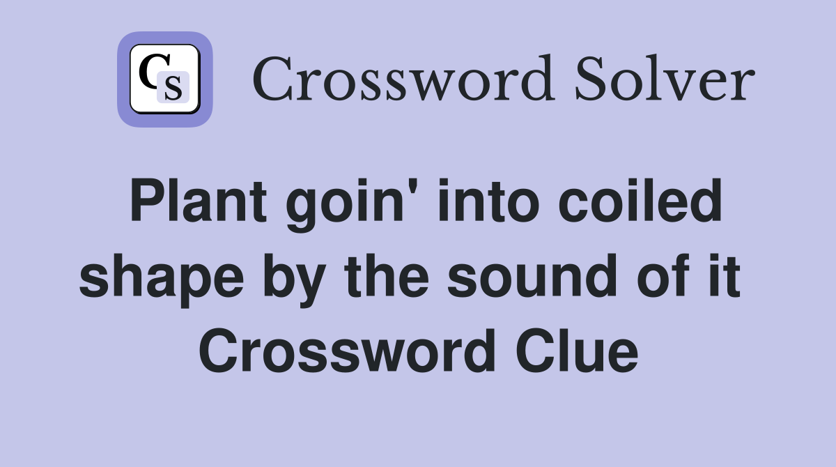 Plant goin' into coiled shape by the sound of it  Crossword Clue
