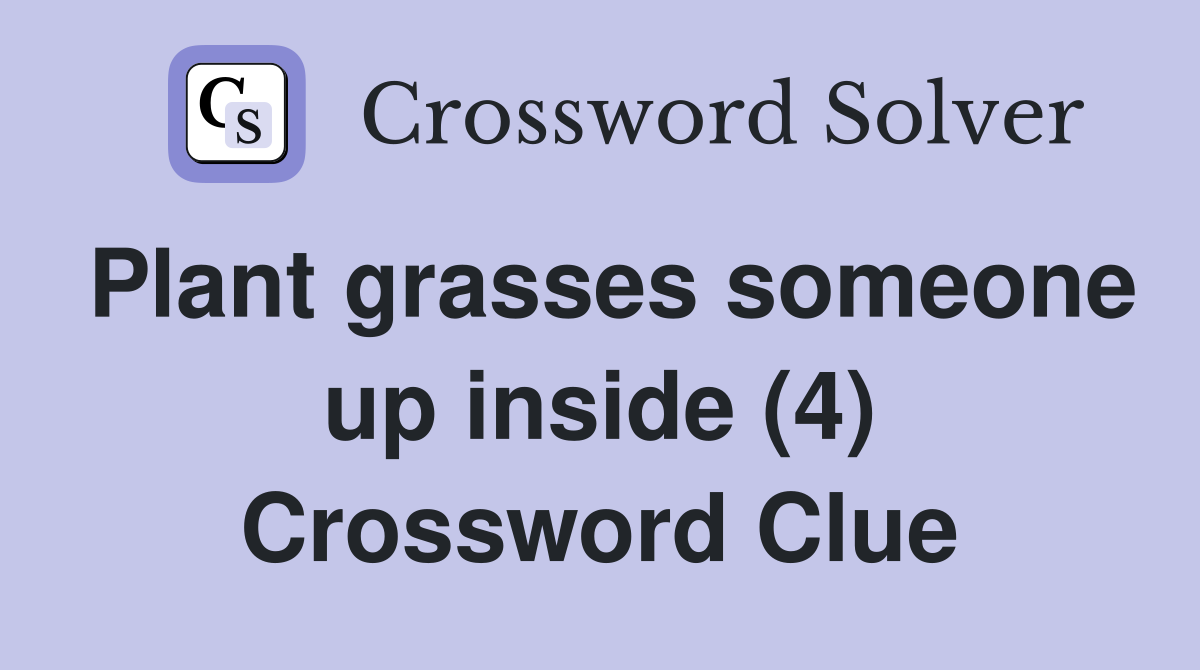 Plant grasses someone up inside (4) Crossword Clue