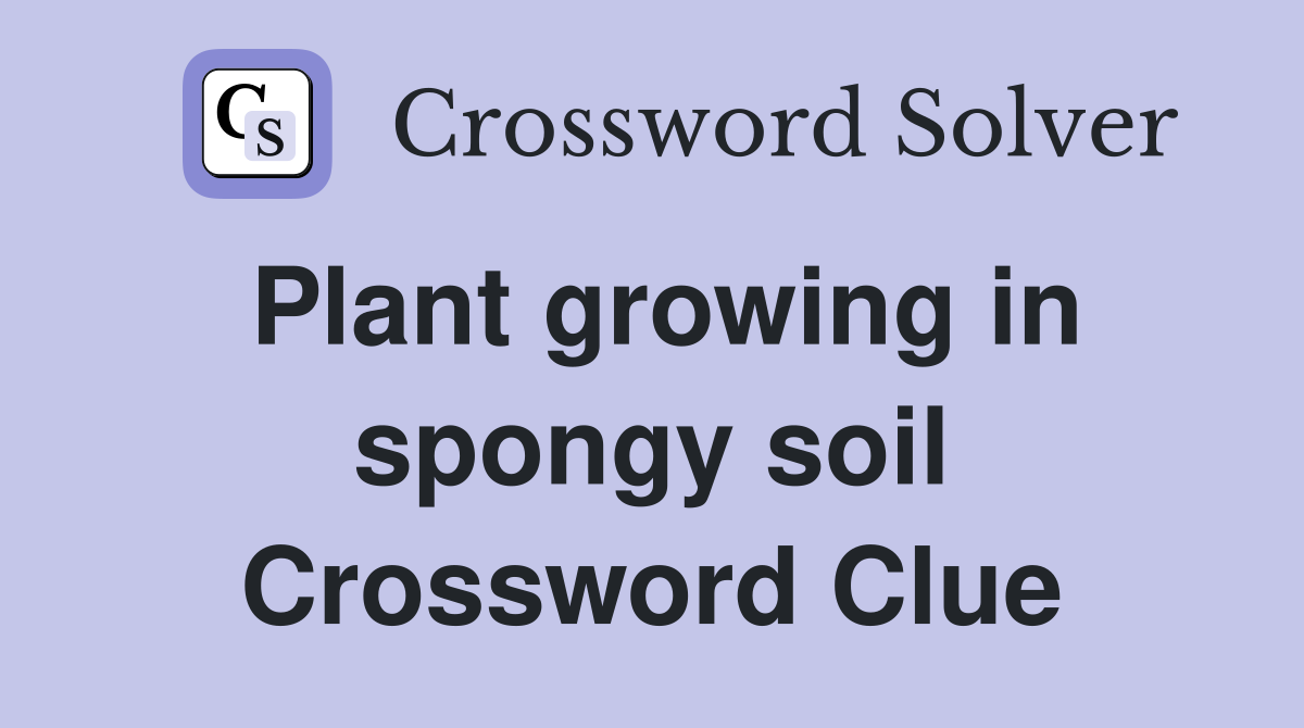 Plant growing in spongy soil Crossword Clue