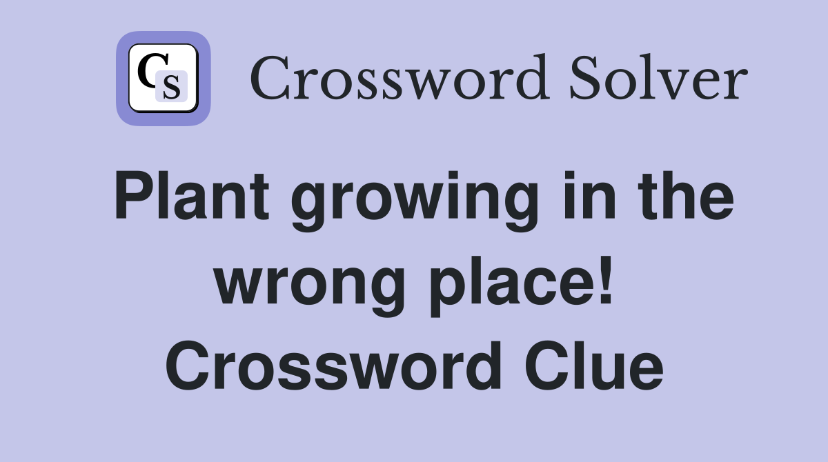Plant growing in the wrong place! Crossword Clue