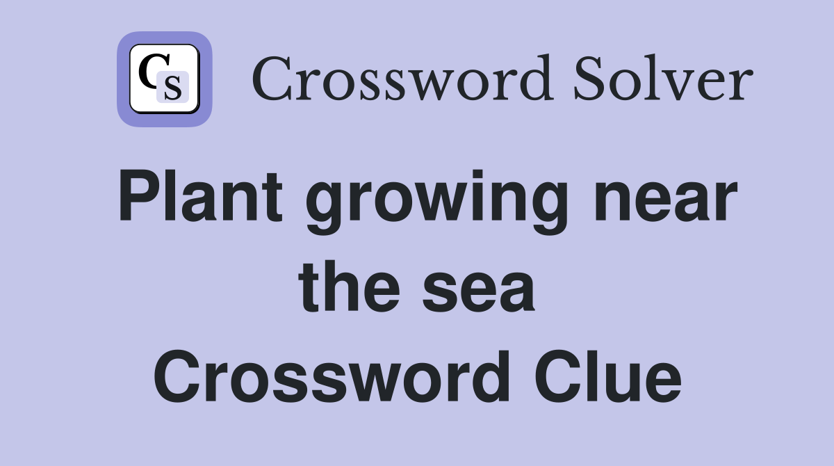 Plant growing near the sea Crossword Clue