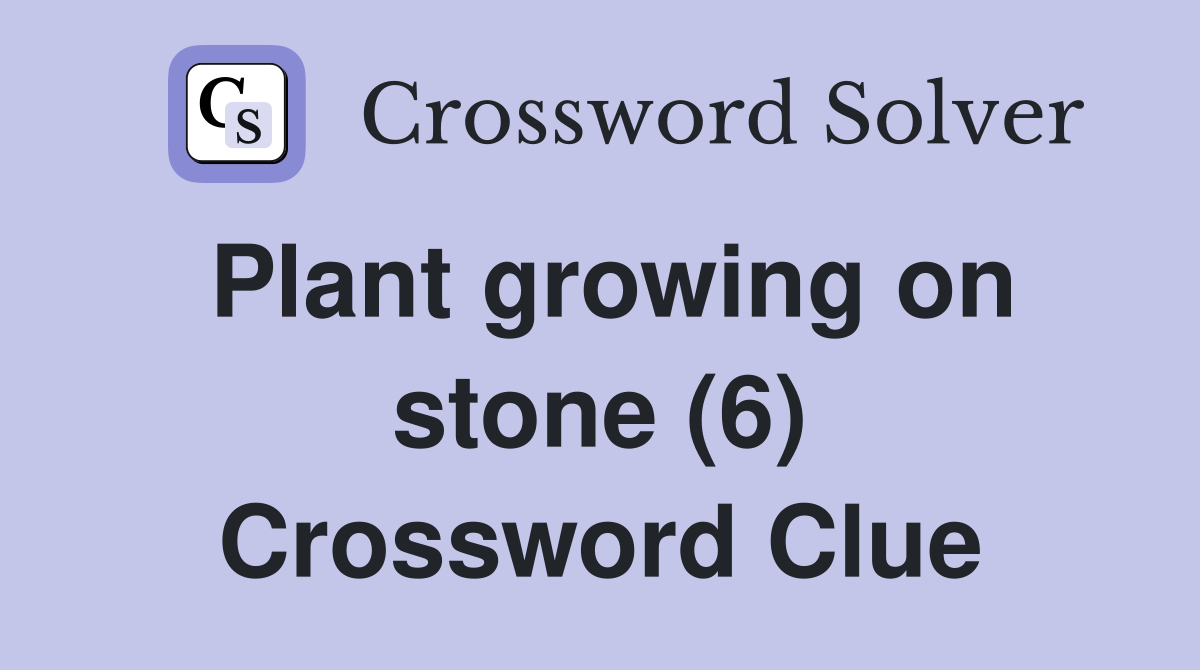 Plant growing on stone (6) Crossword Clue