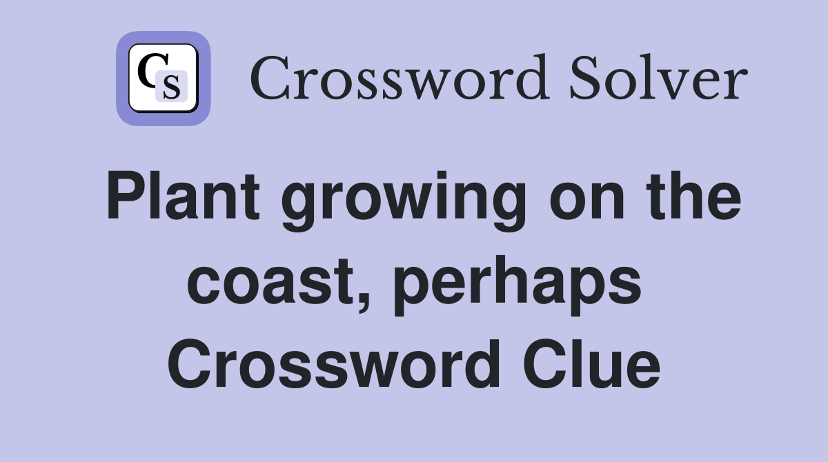 Plant growing on the coast, perhaps Crossword Clue