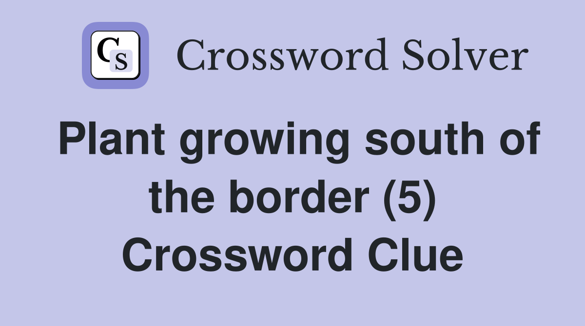 Plant growing south of the border (5) Crossword Clue