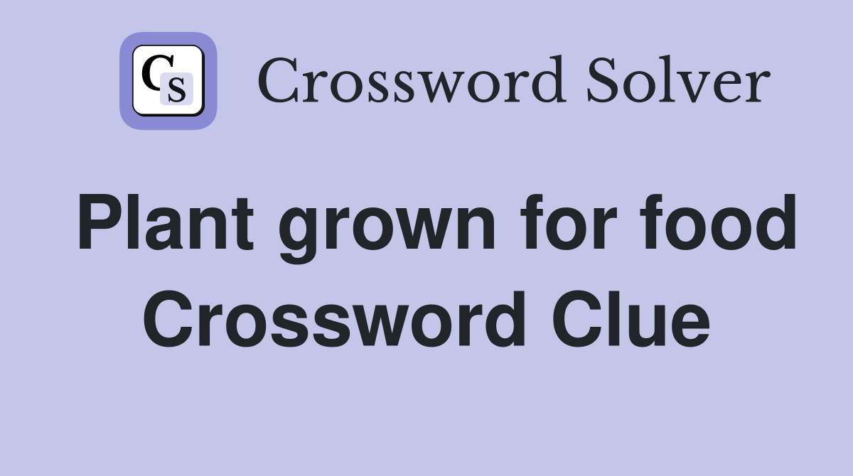 Plant grown for food Crossword Clue
