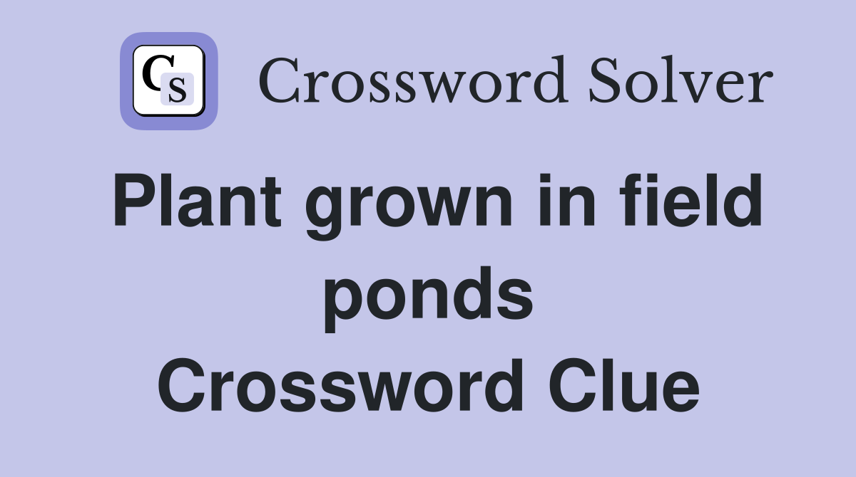 Plant grown in field ponds Crossword Clue