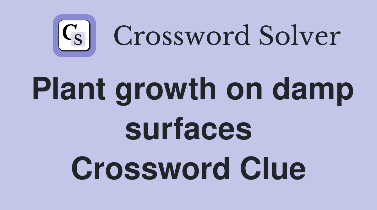 Plant growth on damp surfaces Crossword Clue