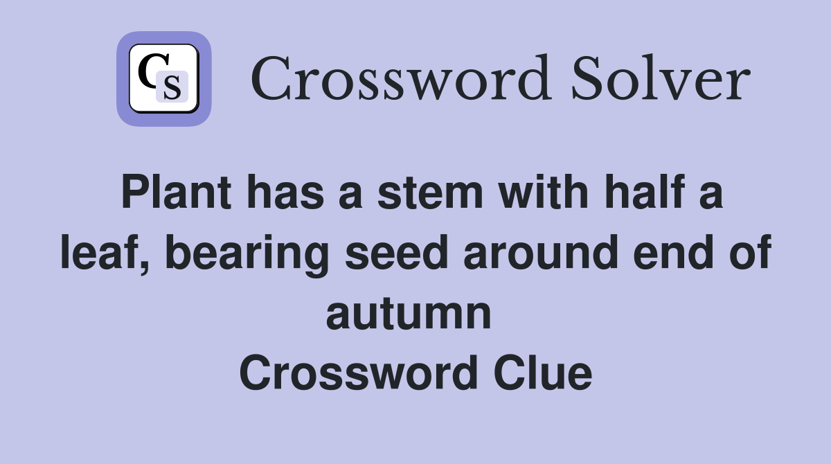 Plant has a stem with half a leaf, bearing seed around end of autumn  Crossword Clue