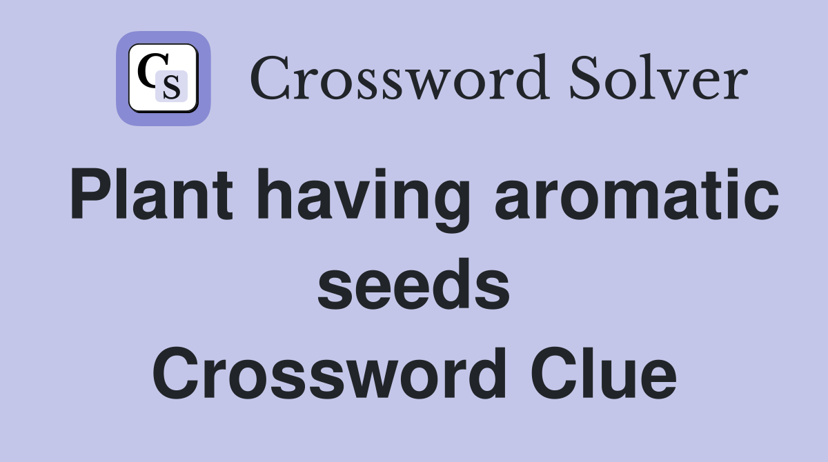 Plant having aromatic seeds Crossword Clue