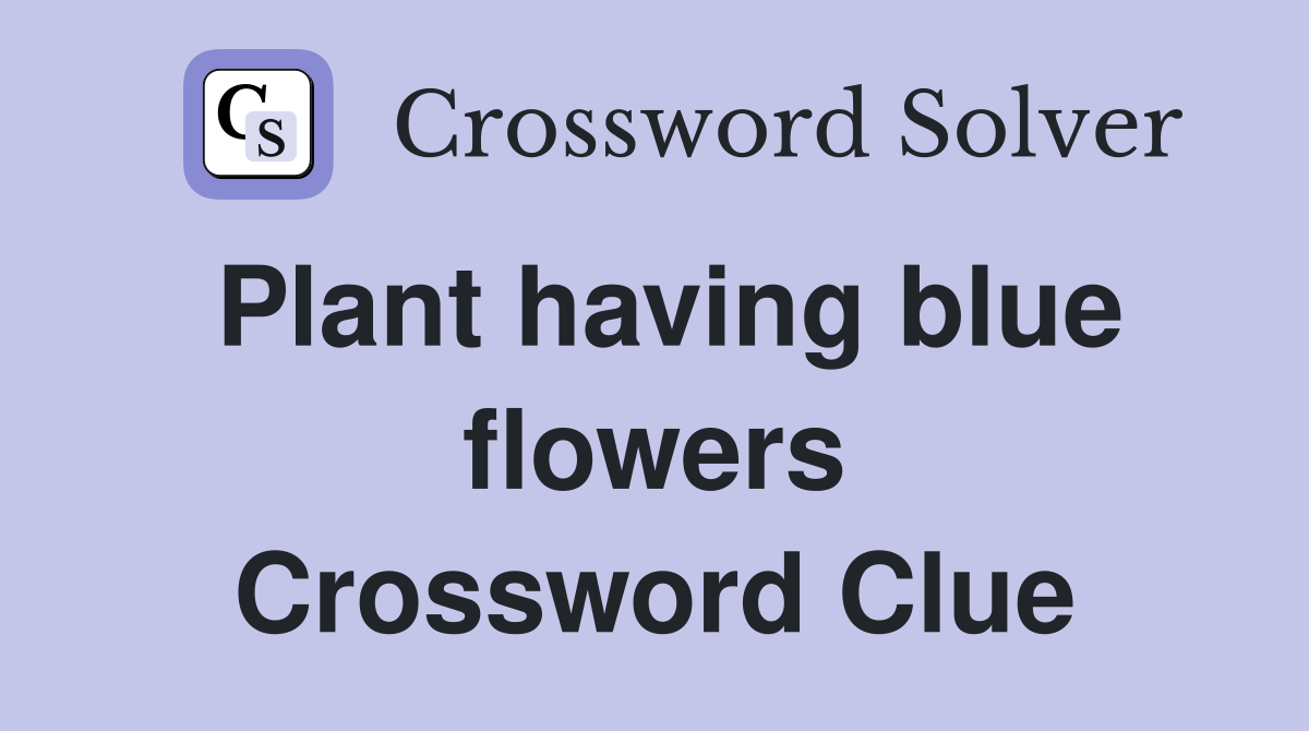 Plant having blue flowers Crossword Clue