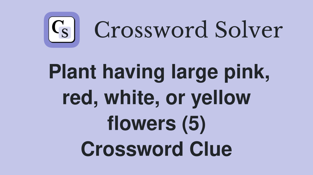 Plant having large pink, red, white, or yellow flowers (5) Crossword Clue